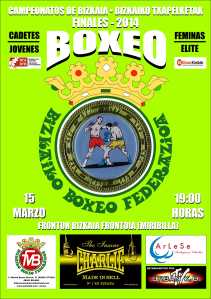 CARTEL FINALES 2014 b