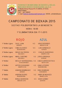 cto bizkaia 17.01.2015